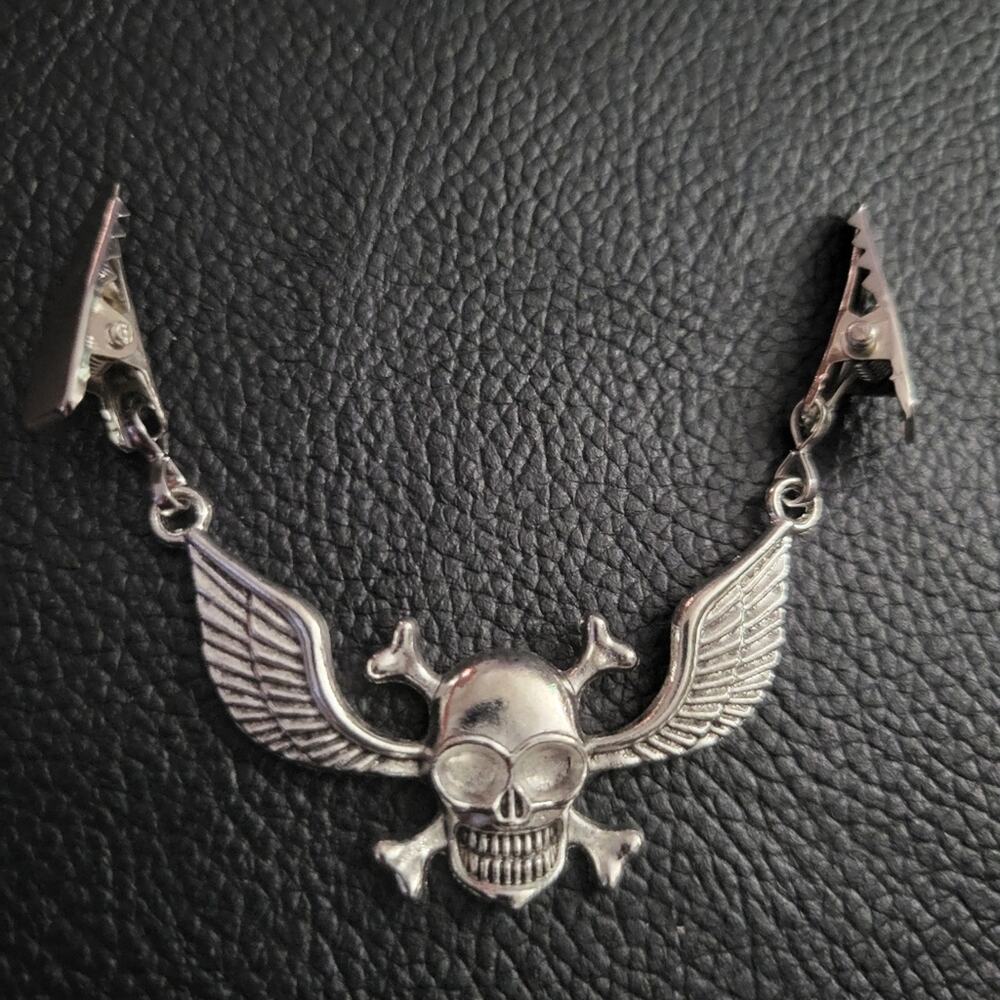 Skull, crossbones, & wings sweater clip